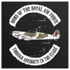 Sons Of The Royal Air Force Through Aversity To The Stars Canvas Art